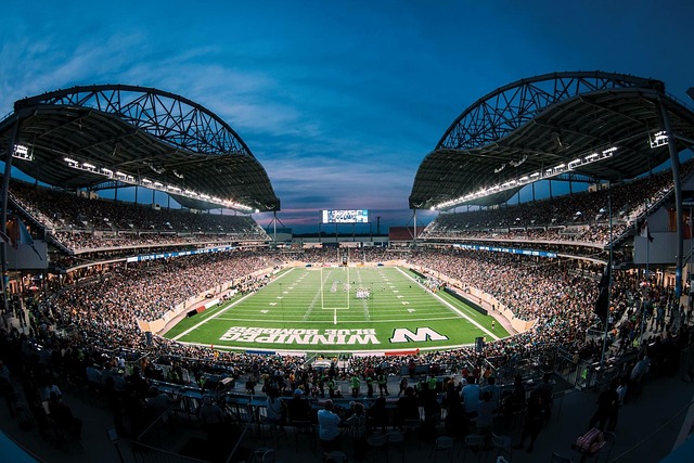 这样的忠诚 这样的忠诚