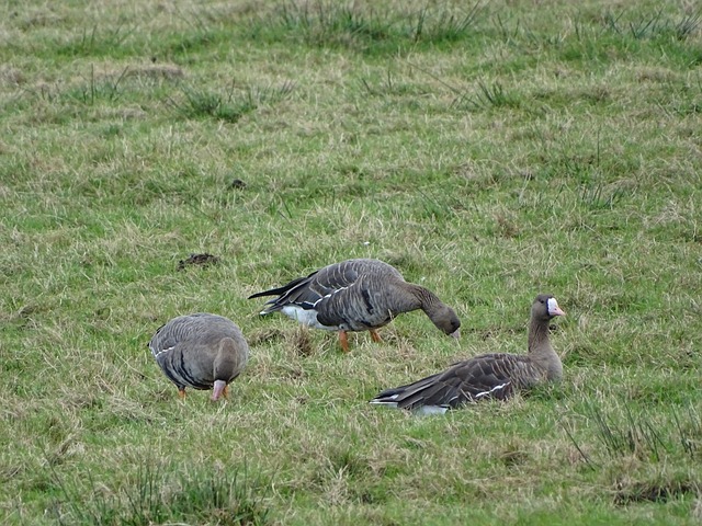 就会开始 就会开始